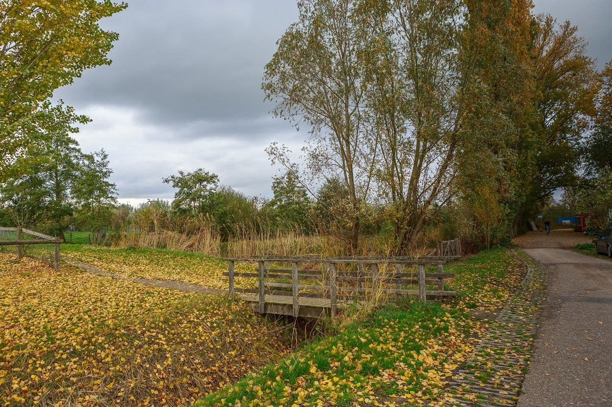 brug in de natuur