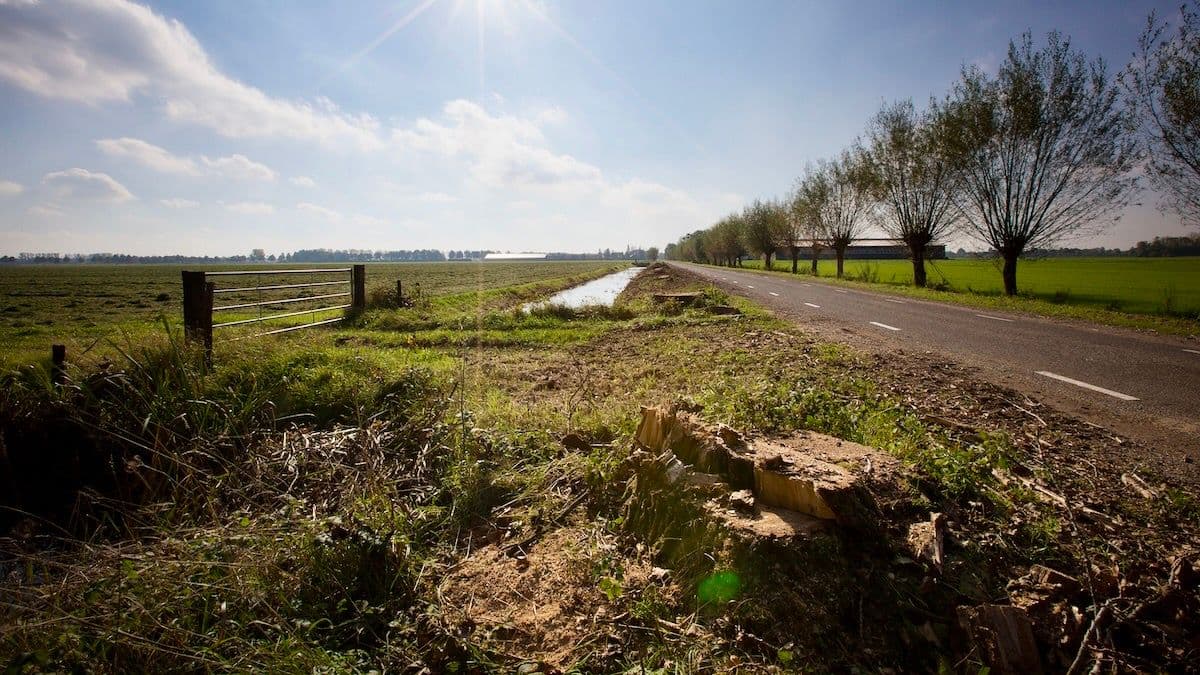 weg in natuurgebied